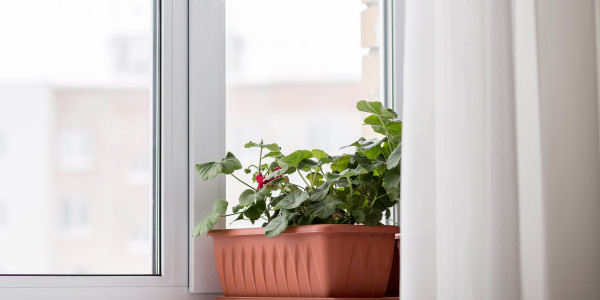 Fabricantes / Instaladores de Puertas y Ventanas de Aluminio / PVC · Doble Acristalamiento